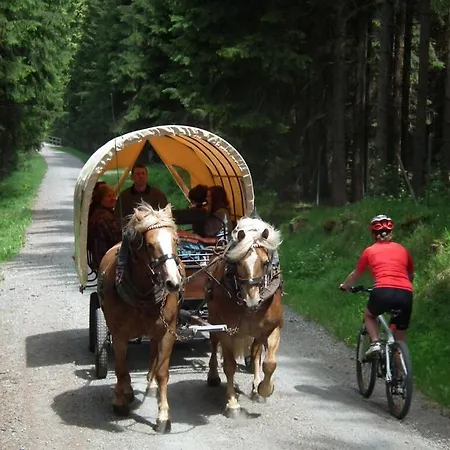 Maisonette Holiday Fichtelberg